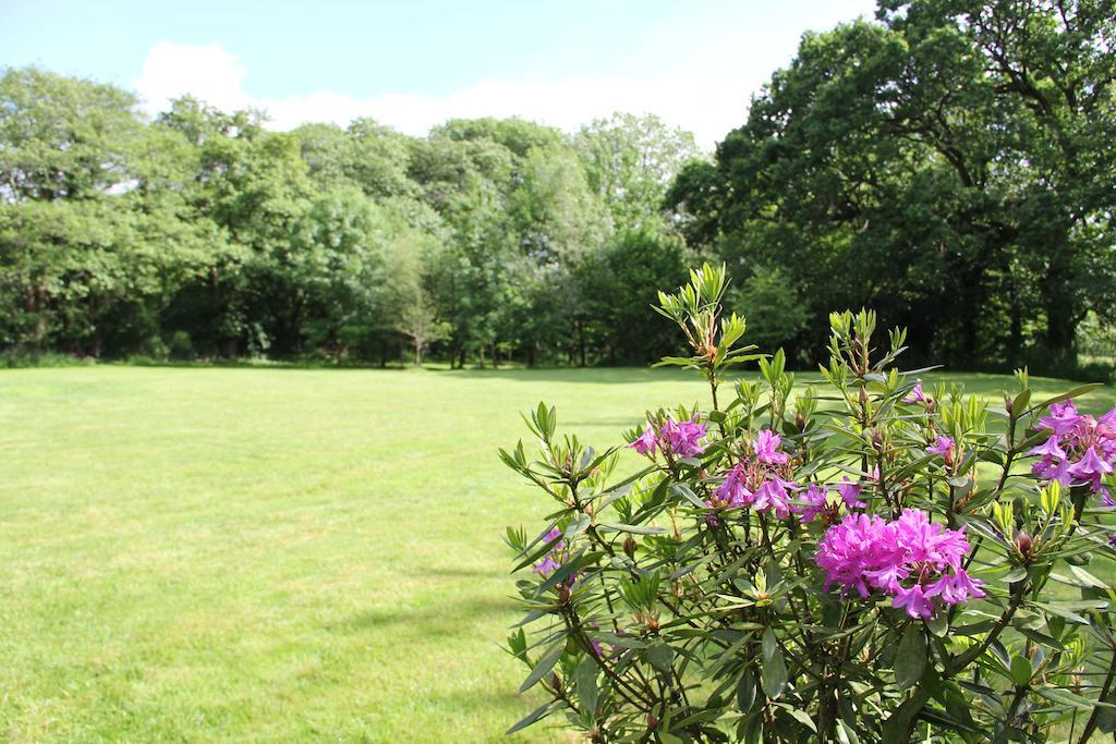 Newmoor Park Hotel Launceston Ngoại thất bức ảnh