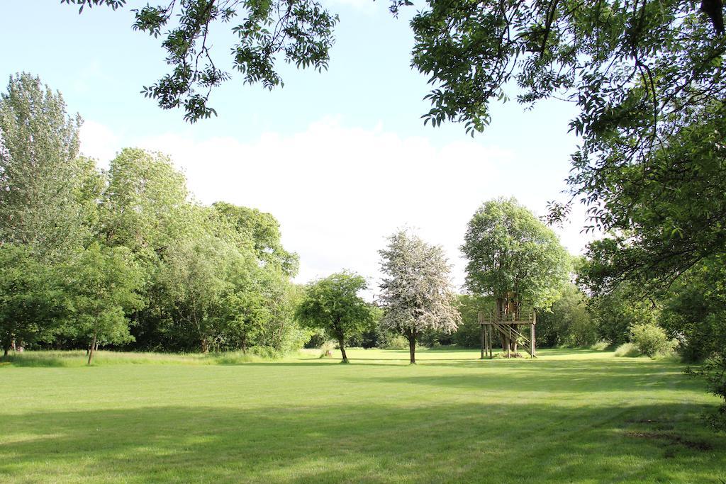 Newmoor Park Hotel Launceston Ngoại thất bức ảnh